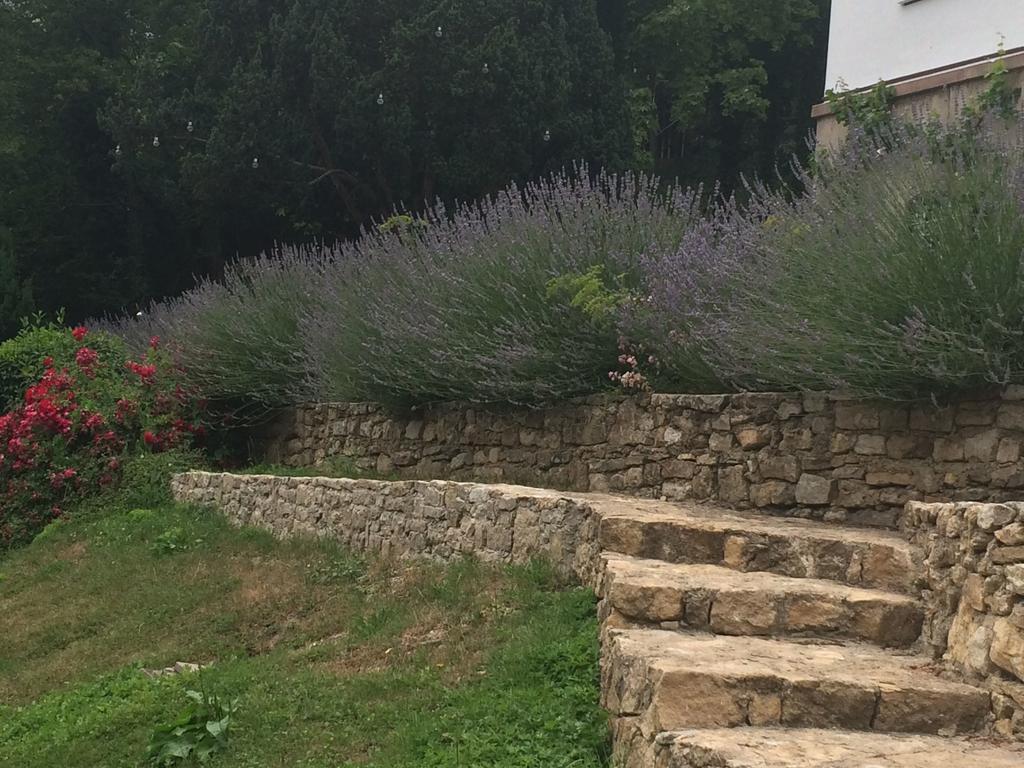 Traumparadies Bad Sulza Εξωτερικό φωτογραφία